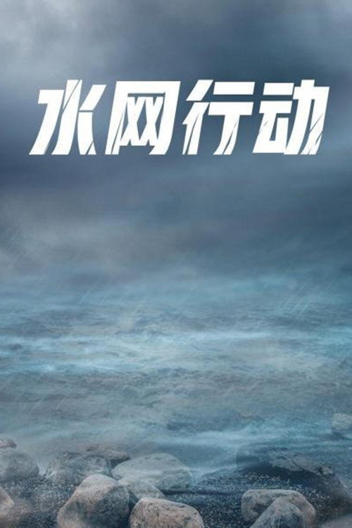水网行动 (2002) TV show poster