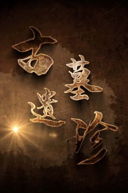 古墓遗珍 (2022) TV show poster