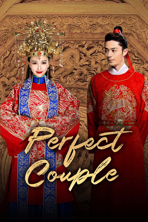 Perfect Couple (2014) TV show poster