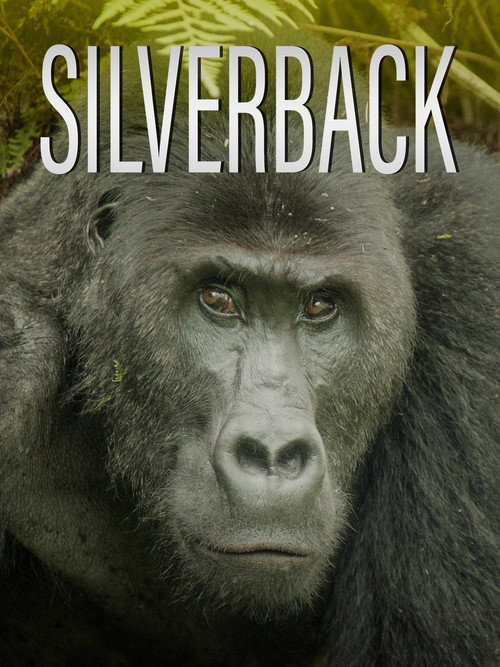Silverback (2024) movie poster