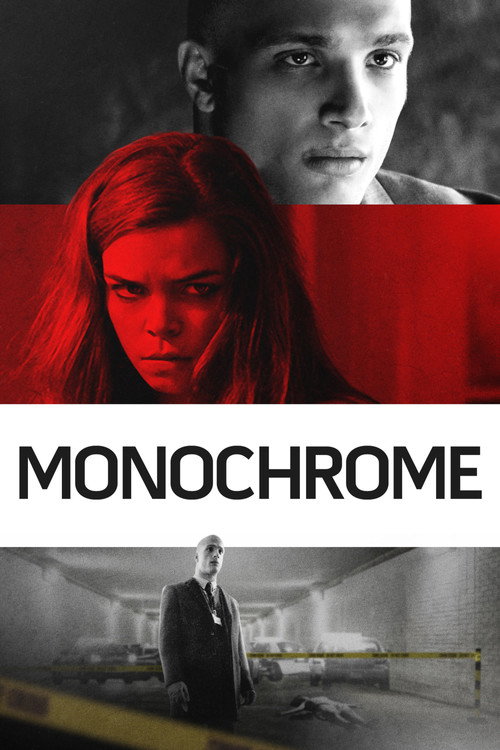 Monochrome (2016) movie poster