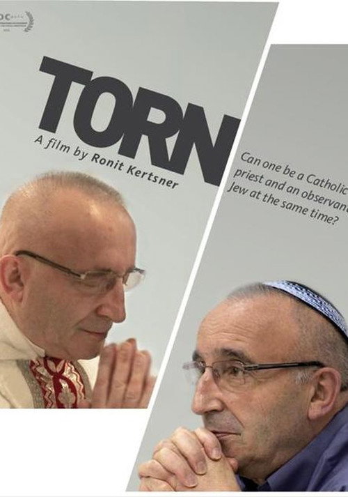 Torn (2011) movie poster