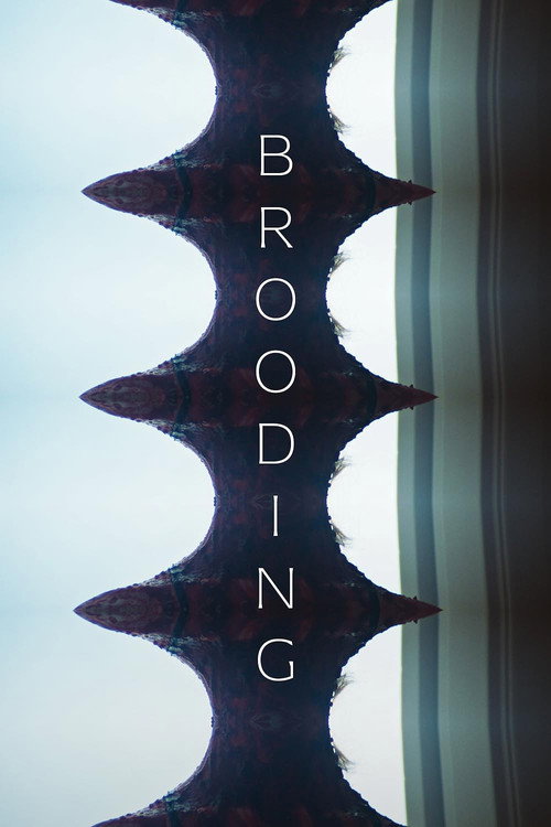 Brooding (2024) movie poster