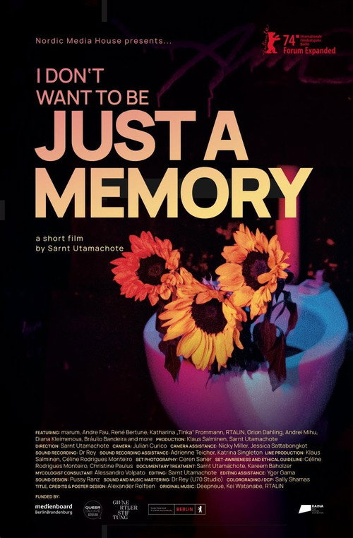 I Don’t Want to Be Just a Memory (2024) movie poster