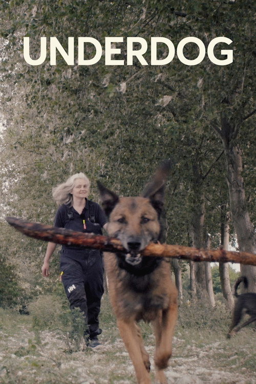 Underdog (2022) movie poster