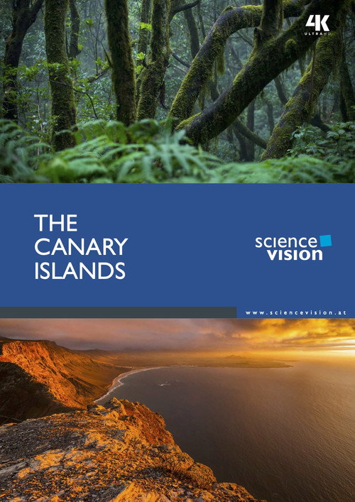 The Canary Islands (2016) movie poster