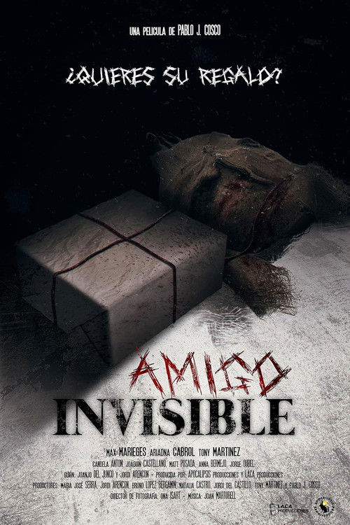 Invisible Friend (2024) movie poster