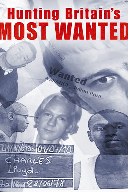 Hunting Britain's Most Wanted (2011) movie poster
