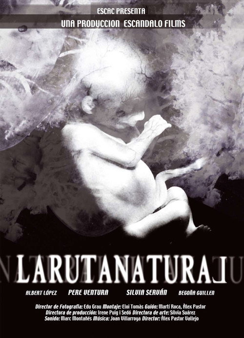 The Natural Route (2004) movie poster