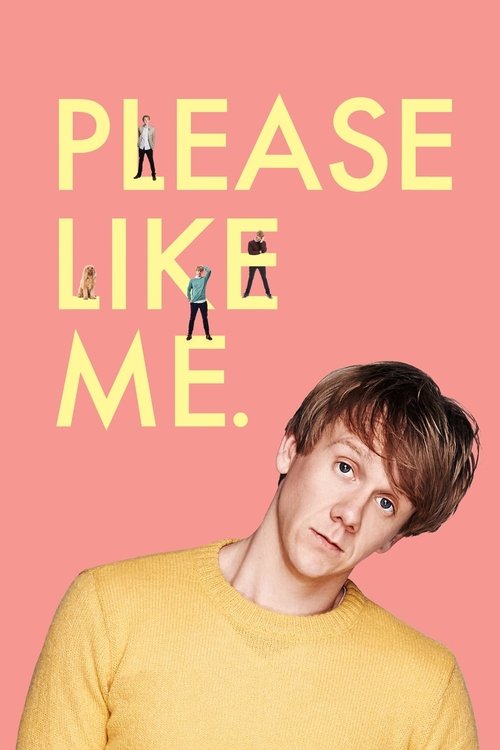 Please Like Me (2013) TV show poster
