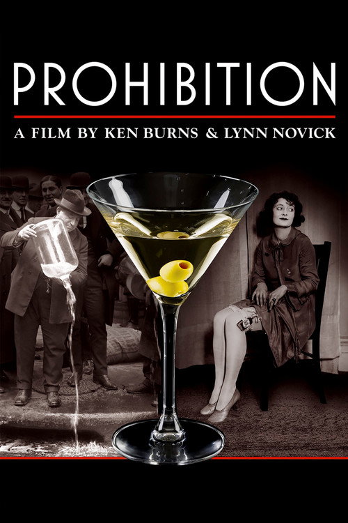 Prohibition (2011) TV show poster