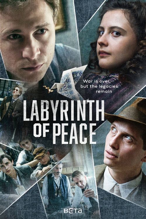 Labyrinth of Peace (2020) TV show poster