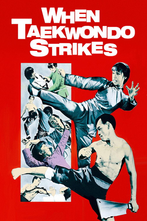 When Taekwondo Strikes (1973) movie poster