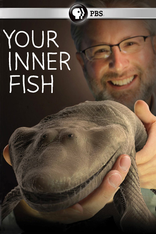 Your Inner Fish (2014) movie poster