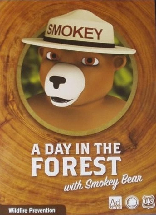 A Day in the Forest with Smokey Bear (2010) movie poster