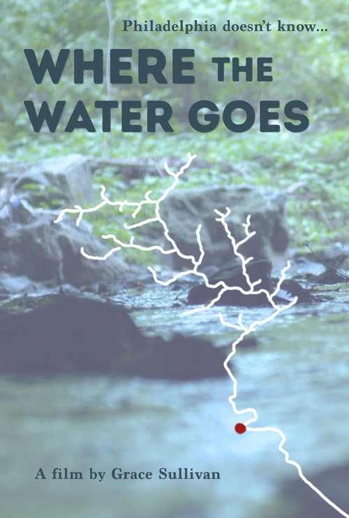 Where the Water Goes movie poster