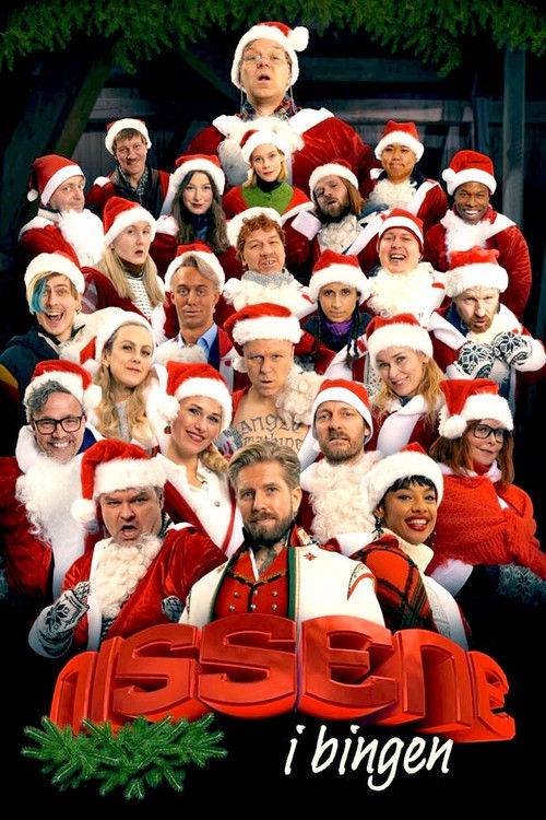 Nissene i bingen (2021) TV show poster