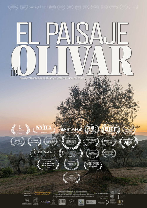 El paisaje del olivar (2024) movie poster