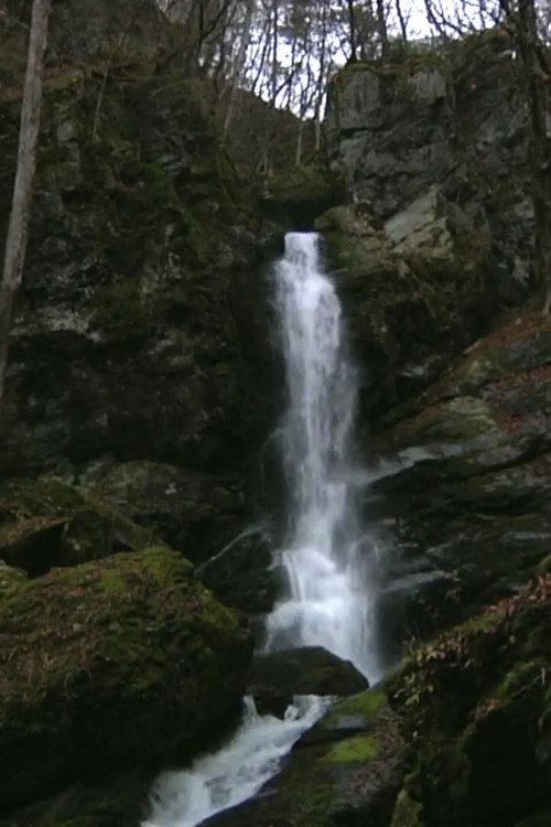 Falling Water, Scattered Scenery (2010) movie poster