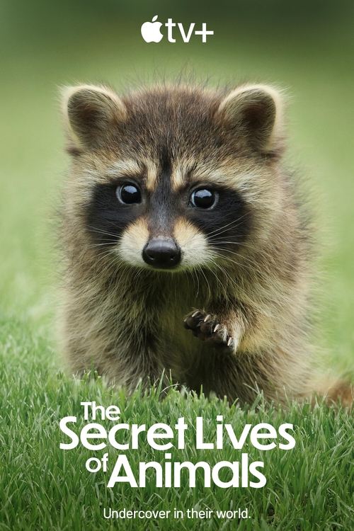 The Secret Lives of Animals (2024) TV show poster