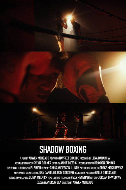 Shadow Boxing (2024) movie poster