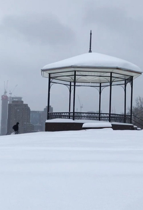 After a snowstorm (2023) movie poster