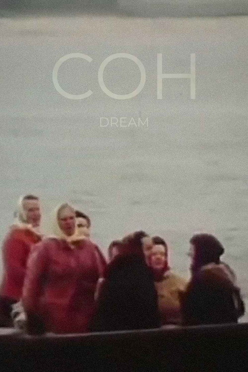 The Dream (1988) movie poster