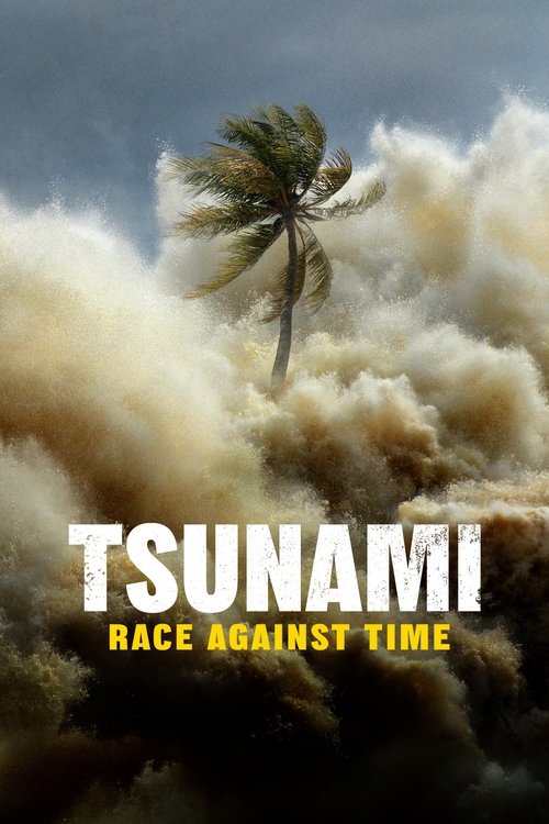Tsunami: Race Against Time (2024) TV show poster