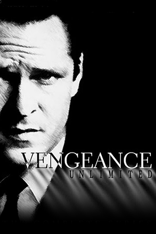 Vengeance Unlimited (1998) TV show poster