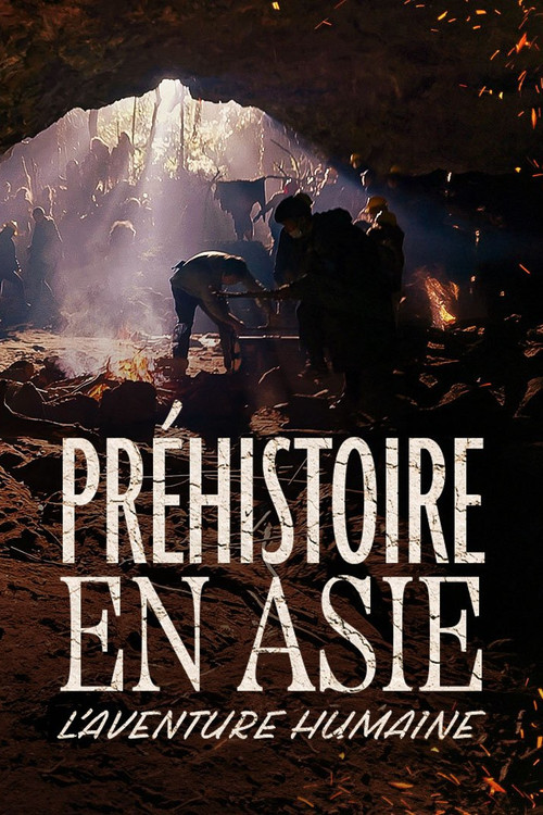 Préhistoire en Asie : L'Aventure humaine (2024) movie poster
