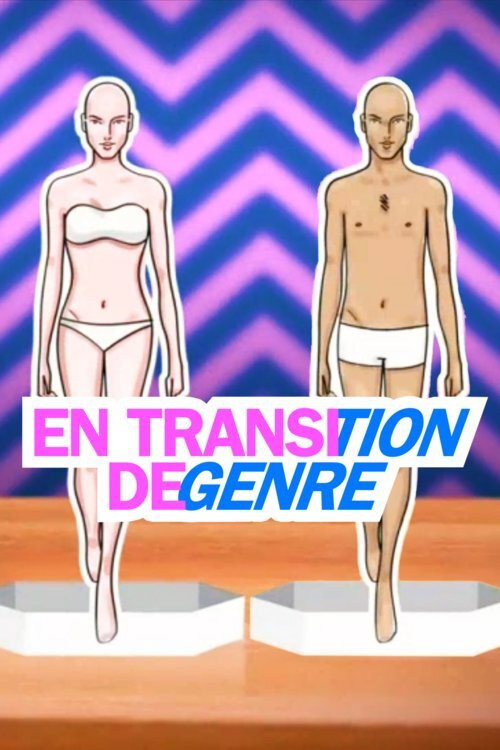 TRANsitioning (2017) TV show poster