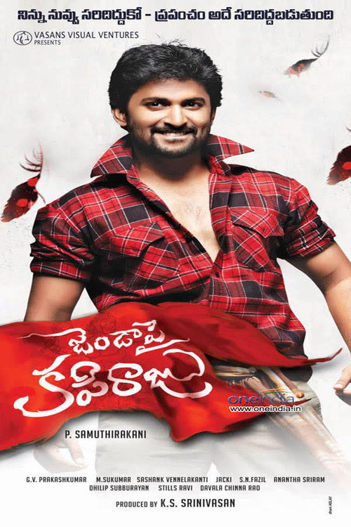 Janda Pai Kapiraju (2015) movie poster