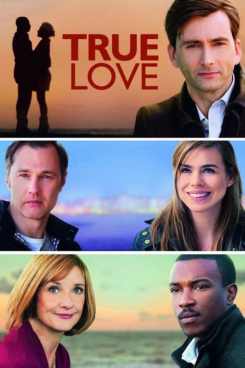True Love (2012) TV show poster