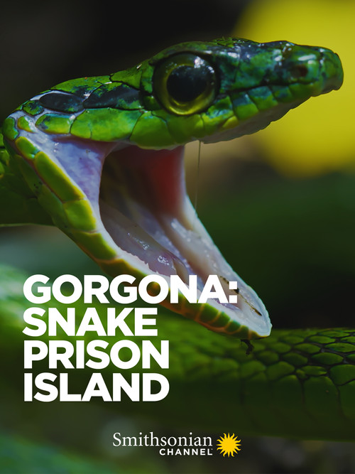 Gorgona: Snake Prison Island (2022) movie poster