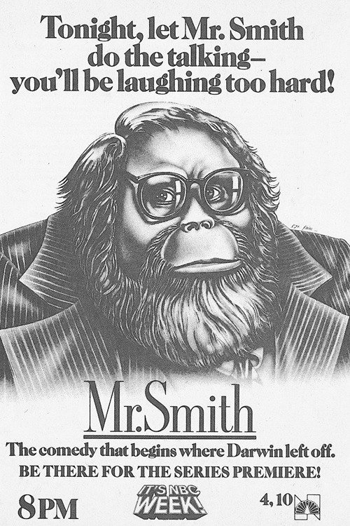 Mr. Smith (1983) TV show poster