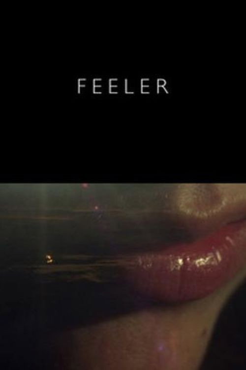 Feeler (2016) movie poster
