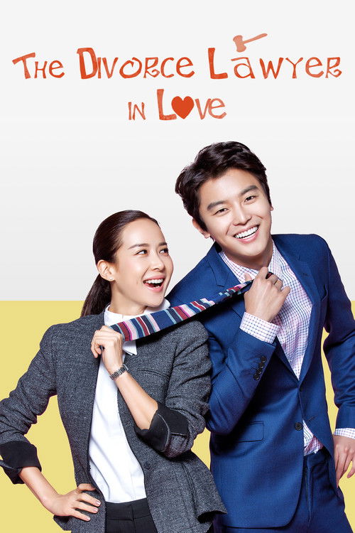 Divorce Lawyer in Love (2015) TV show poster