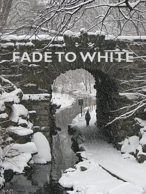 Fade to White (2014) movie poster