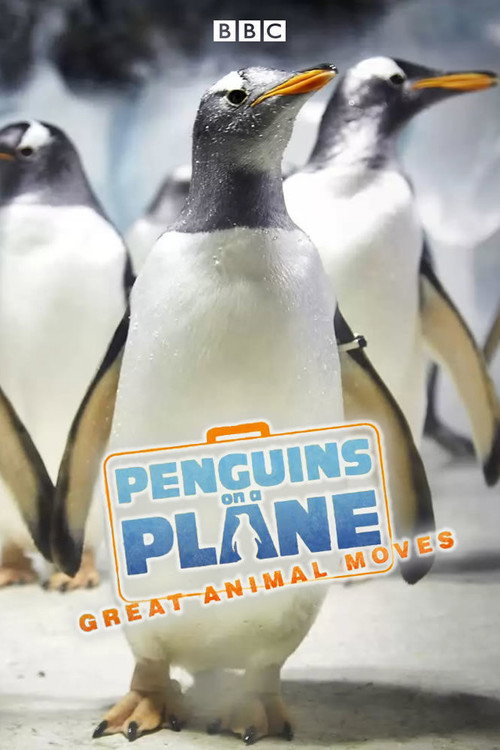 Penguins on a Plane: Great Animal Moves (2014) TV show poster