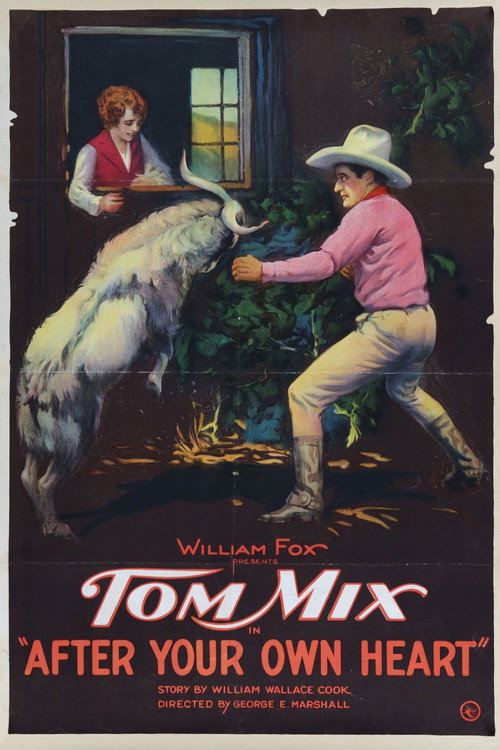 After Your Own Heart (1921) movie poster