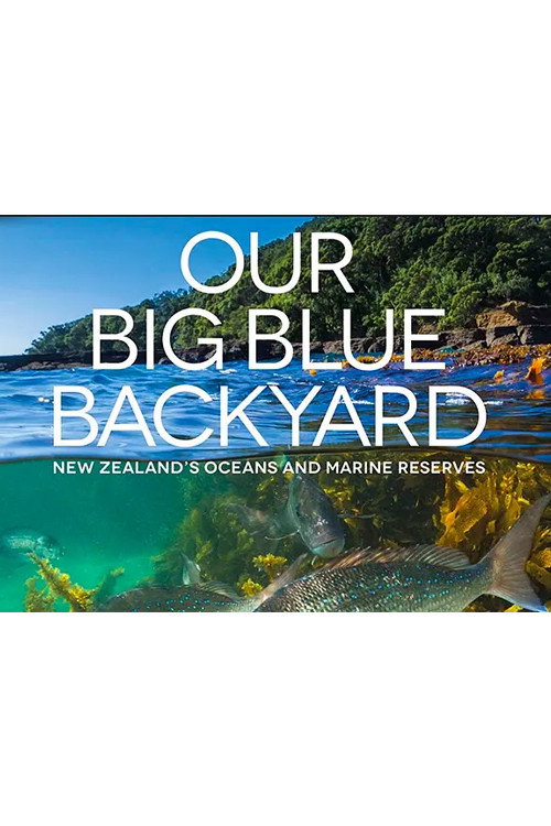 Our Big Blue Backyard (2014) TV show poster