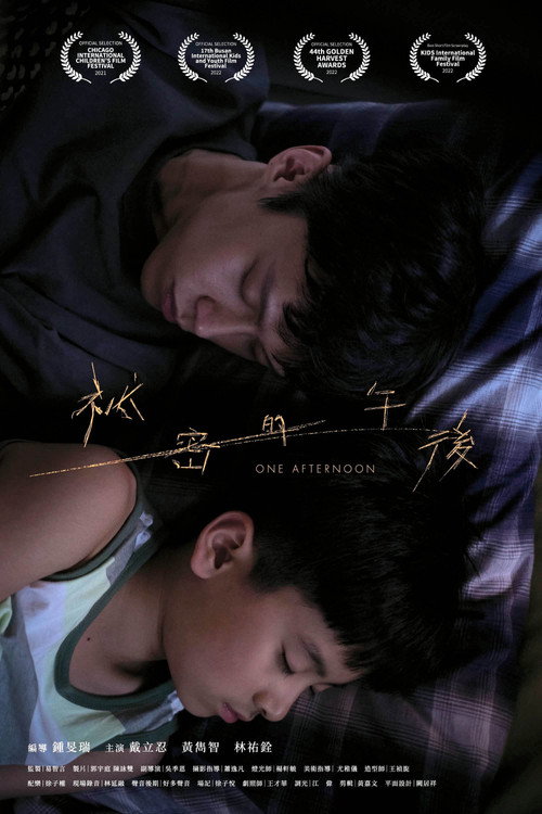 One Afternoon (2021) movie poster