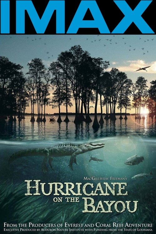 Hurricane on the Bayou (2006) movie poster