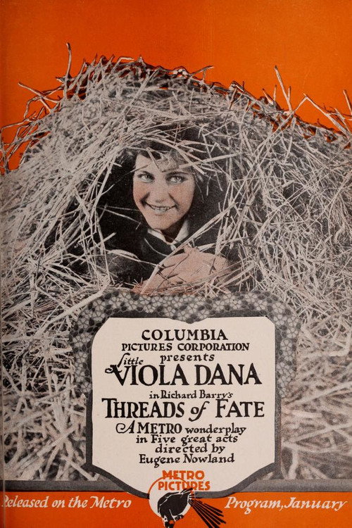 Threads of Fate (1917) movie poster