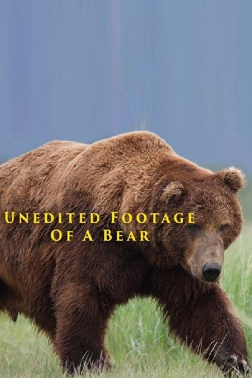 Unedited Footage of a Bear (2014) movie poster