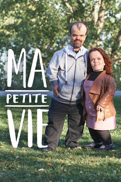 Ma petite vie (2020) TV show poster