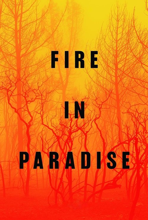 Fire in Paradise (2019) movie poster