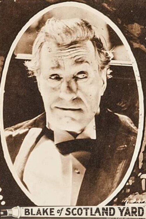 Blake of Scotland Yard (1927) movie poster