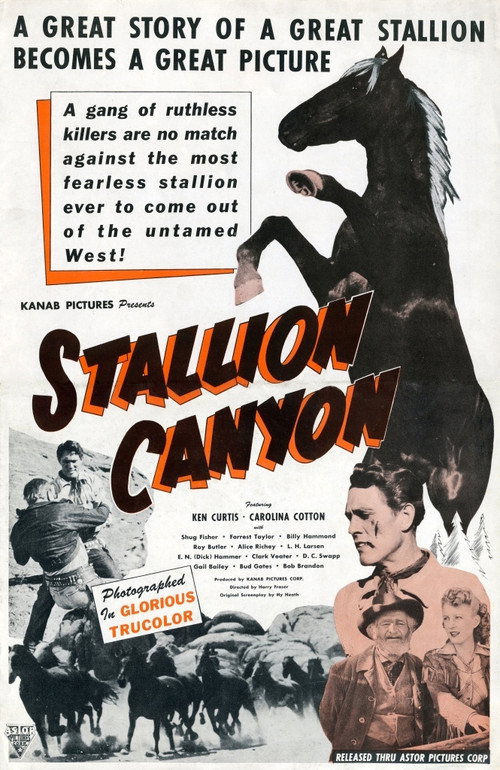 Stallion Canyon (1949) movie poster