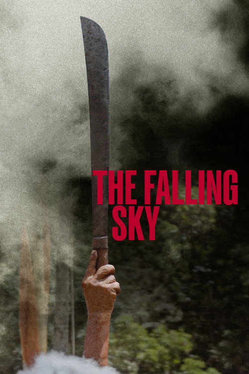The Falling Sky (2025) movie poster